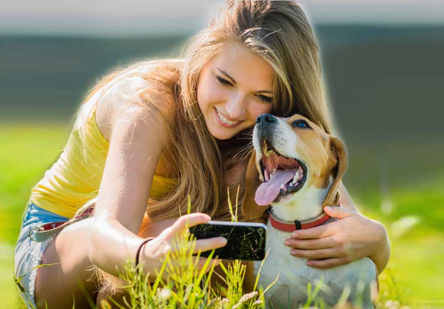 AppsonToast's tweet photo. Nice review of our #Android #App Pet Pal
https://t.co/mG0SsEome6 https://t.co/gXovAqhRRO