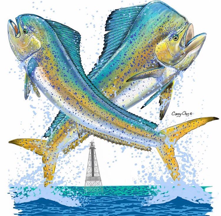 Frank_Lopez_'s tweet photo. El turismo deportivo como la pesca, logran atraer miles de turistas cada año, en abril será el Torneo Internacional de Pesca de Cancún. https://t.co/gwLiy2tMmX