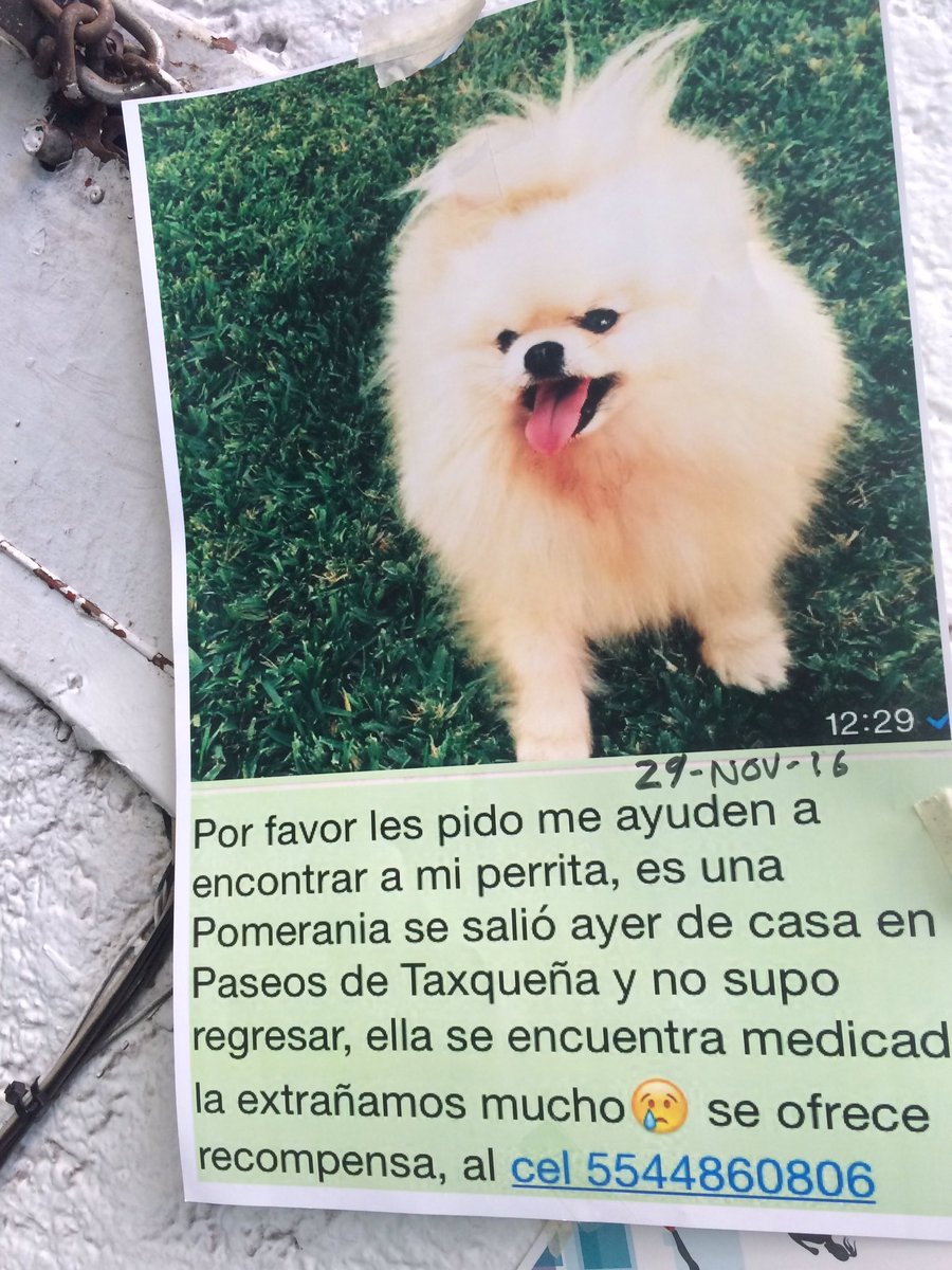 danoninodanz's tweet photo. Difundamos #RegresaAna @PaseosdeTaxquea @VillaCoapaMX @LaCampestre_Ch https://t.co/Fb6yY1ssYI
