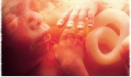 LifeNewsHQ's tweet photo. Most Women Wouldn’t Have Abortions if They Just Saw This Instead https://t.co/zlQge2v7xc https://t.co/3MSk6fYUu2