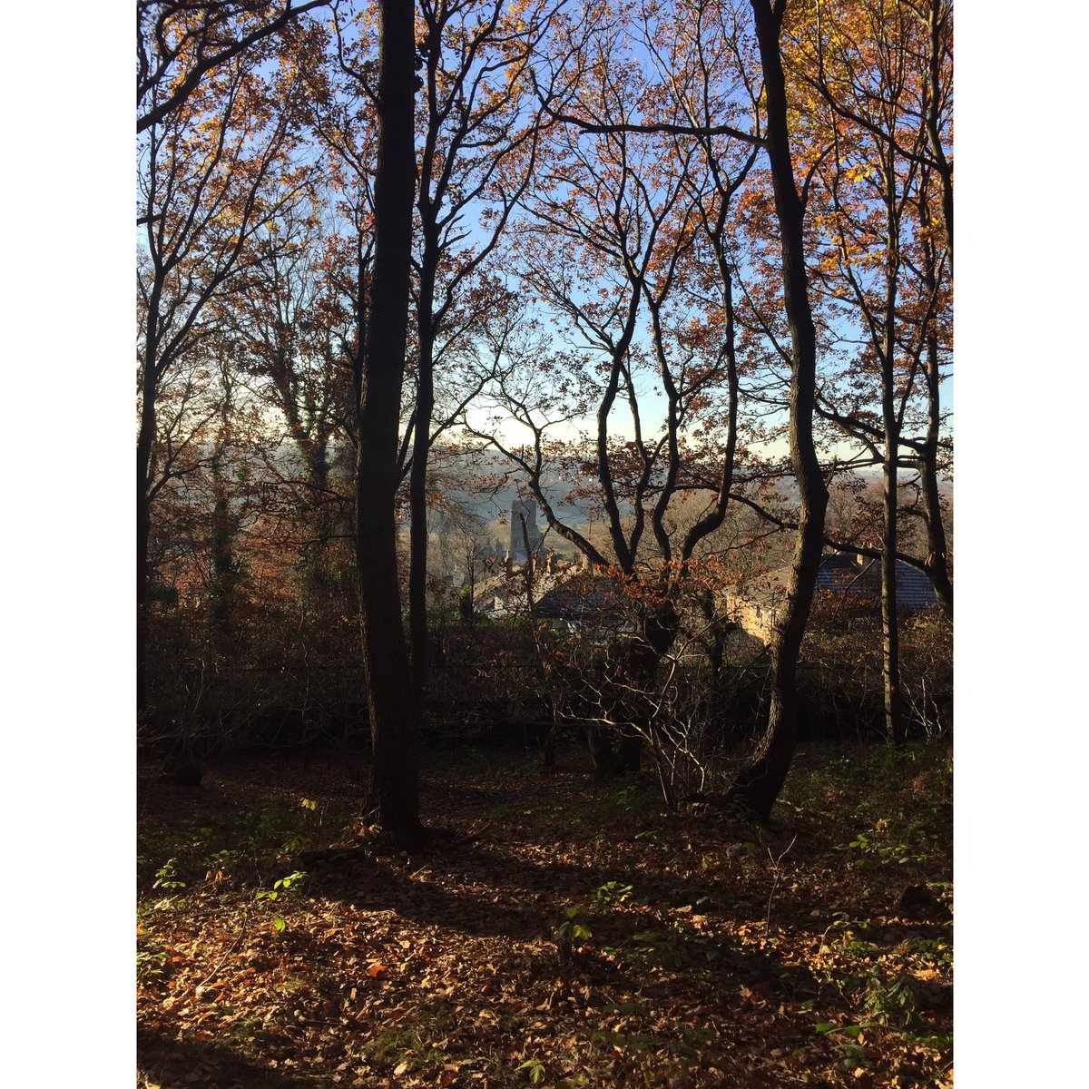 mtfeedback's tweet photo. Clinging on to those autumnal vibes at https://t.co/LHXII76MlX https://t.co/XYLEizyCsf