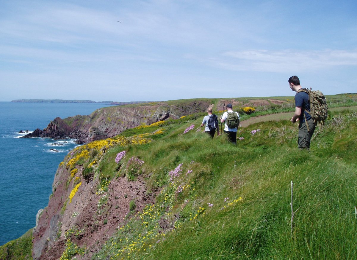 PembsCoast's tweet photo. Report highlights Park Authority’s social inclusion and well-being success https://t.co/o0GYOzPcJ1 https://t.co/2y7Av6L1yV