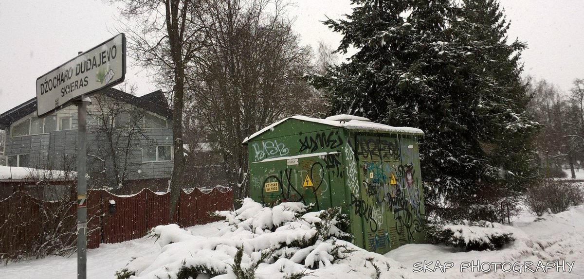 SkapWorld's tweet photo. winters breeze #winter #snow #evergreen #photography #skap #zverynas https://t.co/ZJkwYByVV7
