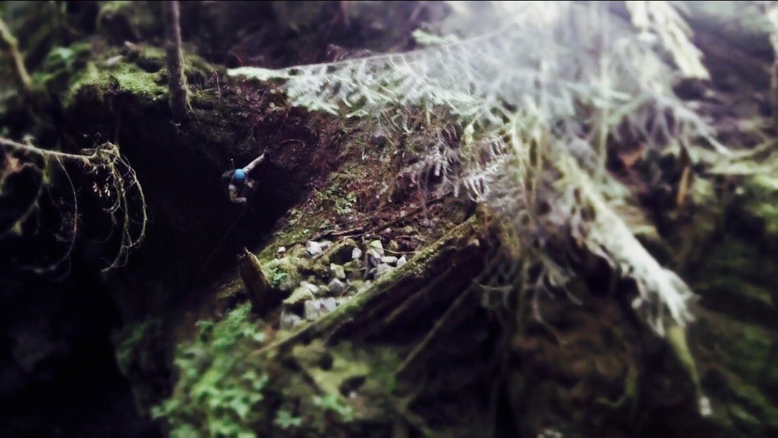 AlpineExplorer's tweet photo. A big one! Uncharted, new discovery...Kinda like a major system in #Chilliwack #Karst #cavers #caving in #caves https://t.co/ZQKUFjWc0a