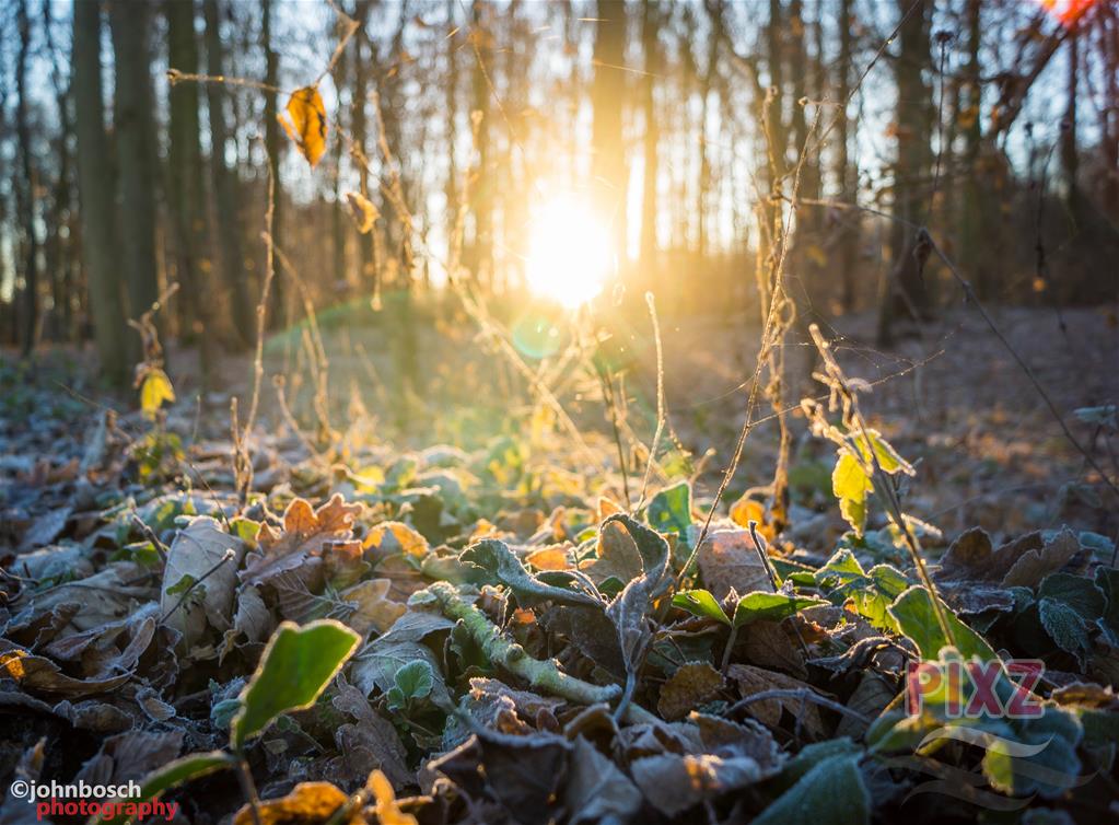 PIXZeeland's tweet photo. #Genieten! De tijd van het jaar. 

https://t.co/JzR0uzpIsU

#PIXZ John Bosch te #Axel #ZeelandApp #FotografieZeeland https://t.co/wTNFCaVCBA