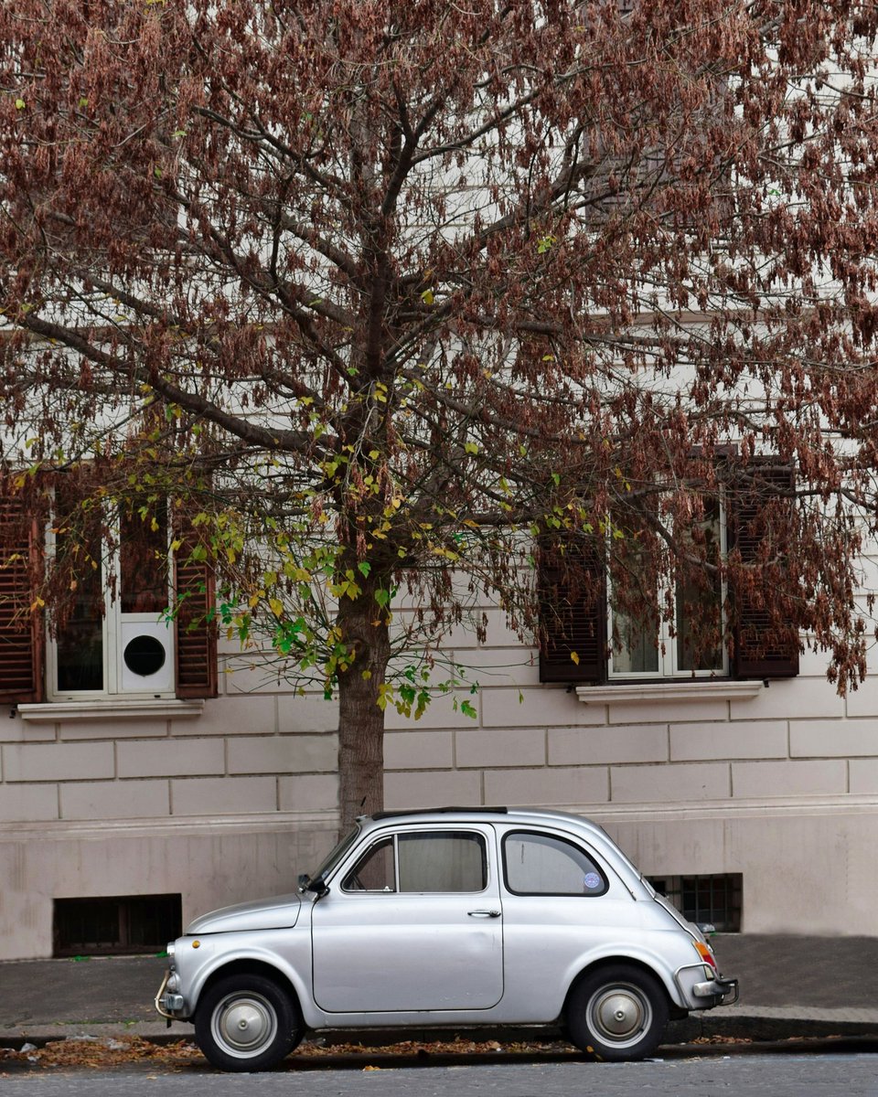 overlayproject1's tweet photo. Di Domenica 💚 #romeandyou #igersroma #findyourfiat #fiat500 https://t.co/5PvBLqqWmw