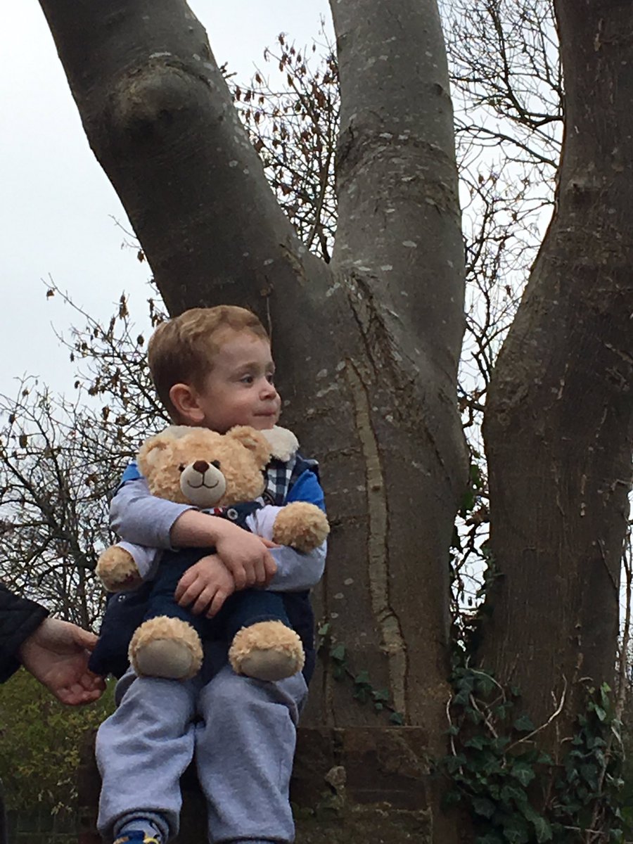 leannenjake's tweet photo. @bailey_bearFP  last day staying at jakes house climbing trees &amp; park today 😊 https://t.co/xubvOuy5U5