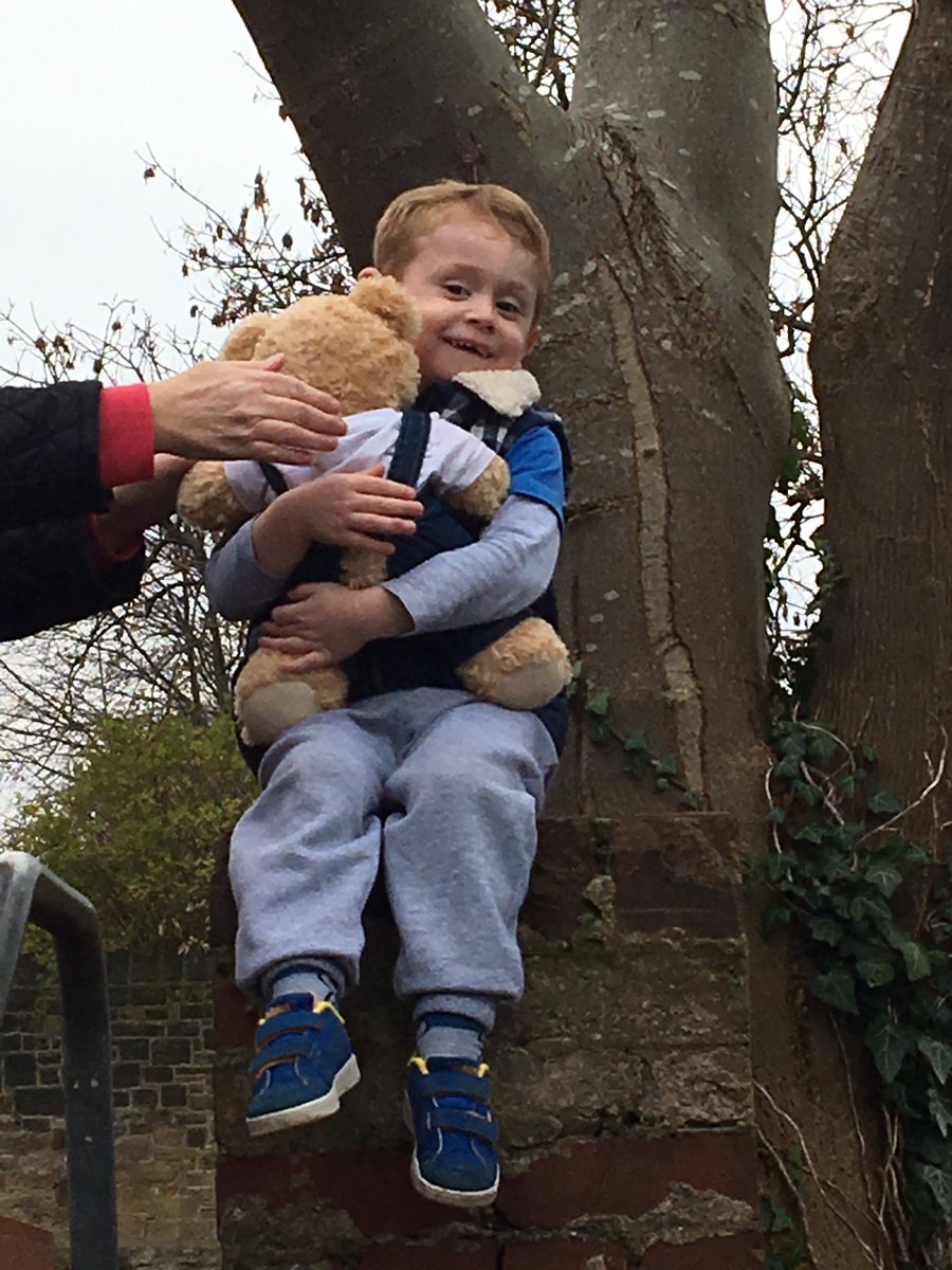 leannenjake's tweet photo. @bailey_bearFP  last day staying at jakes house climbing trees &amp; park today 😊 https://t.co/xubvOuy5U5