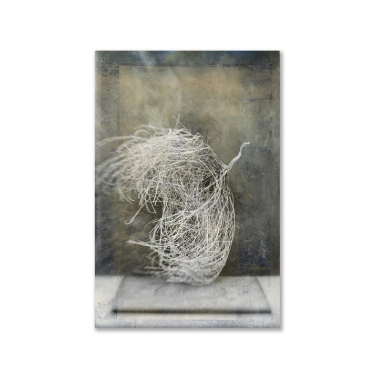 FillSpaceArt's tweet photo. Elena Ray let's nature shine in her #desertform series. Where in your home would you put this beautiful piece? https://t.co/boGSOVECDV