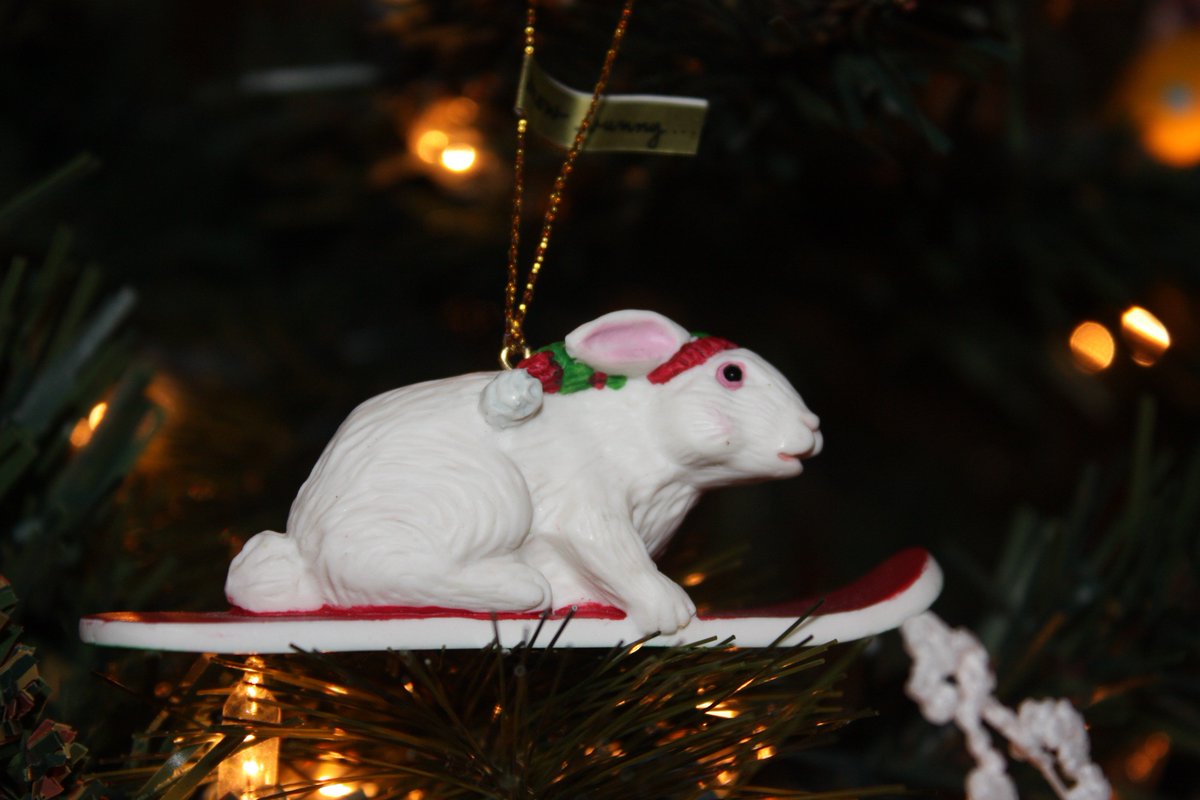 Thump_Bolt's tweet image. Day 4: First snowfall in @rahrahrochester! Seems like it's time to bring out the snowboard! #snowbunny #bunnyornaments #RabbitsofChristmas