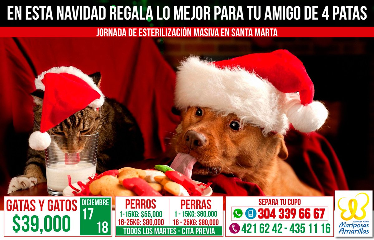 fmariposasa's tweet photo. Última jornada de esterilizacion a bajo costo en #santamarta del año. 17 y 18 de diciembre, ya se pueden apartar cupos. @SantaMartaTW https://t.co/Y2hB7RDjKg