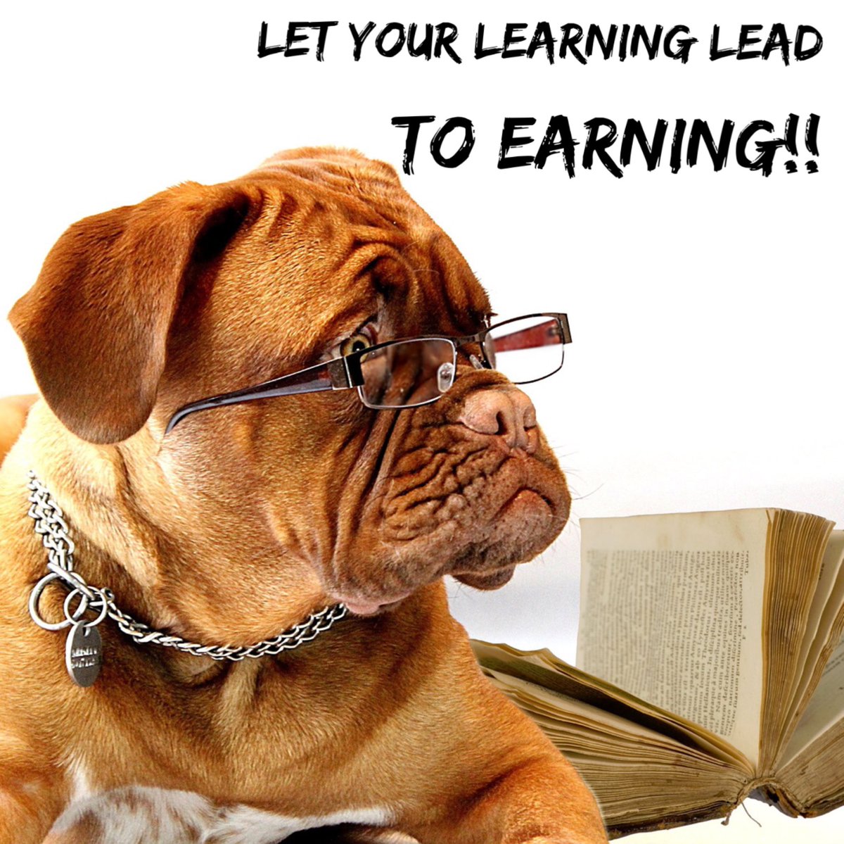 moneymindtrain's tweet photo. When you take a course or read a book to learn new skills, take action and let your learning lead to earning! #success #goals #motivation https://t.co/NARReVNXtf