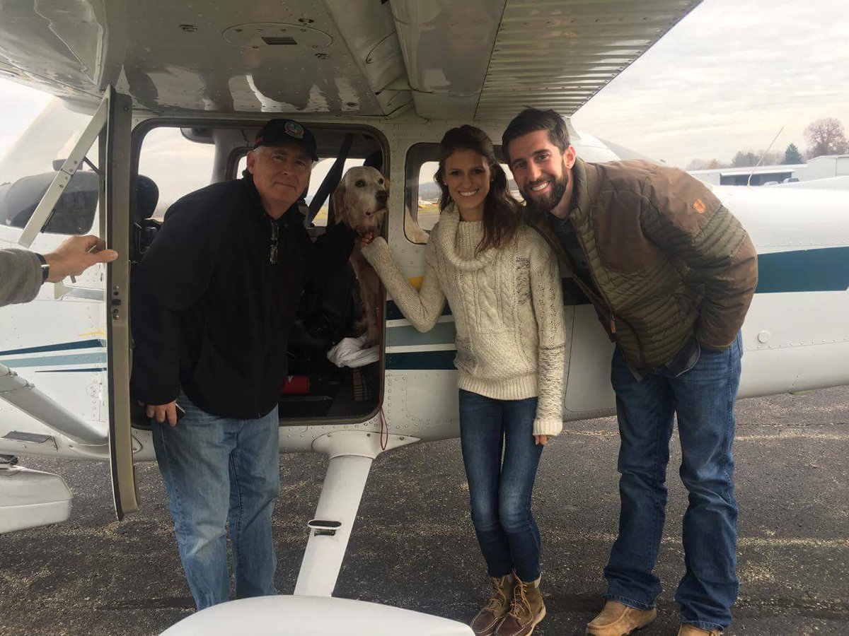 OurESRescue's tweet photo. Bentley takes to the skies. #thanksPNP #lovepilotsnpaws https://t.co/38Xg59sGZX