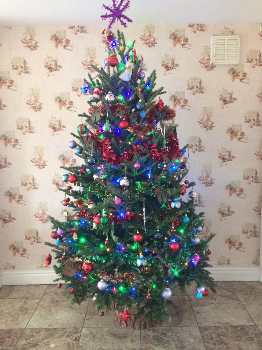 <a href="/Discover_Denton/">Discover Denton</a> Fabulous as always tree from Haughton Supplies#🎄🎄