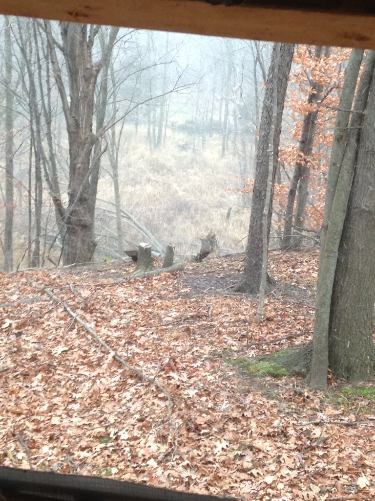 thwaacker's tweet photo. Finally snowing!!! Good luck hunters!!👊🏻🎯 https://t.co/KXb7uNrStS