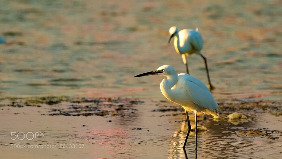 Popular on 500px : Untitled by acdavid007