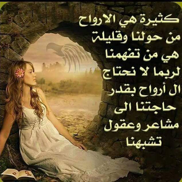 نوارس البصراوي (@mahonaddd) on Twitter photo 