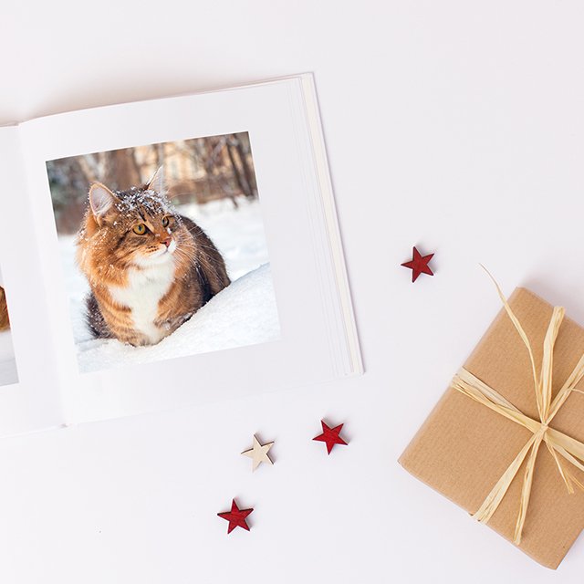 Bookagram's tweet photo. Create a photo book for someone this Christmas and save 20%! 🎄

→ https://t.co/vB6md2v0k5

#christmasiscoming #christmas #xmas2016 https://t.co/cKJekJOm9O