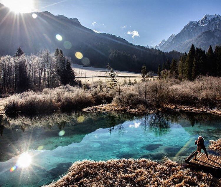 igslovenia's tweet photo. Zelenci Springs, a nature reserve near Kranjska Gora, at the 3-country border of Slovenia, Italy and Austria. Photo by /uabram/ #slovenia https://t.co/MG3cfQsf7G