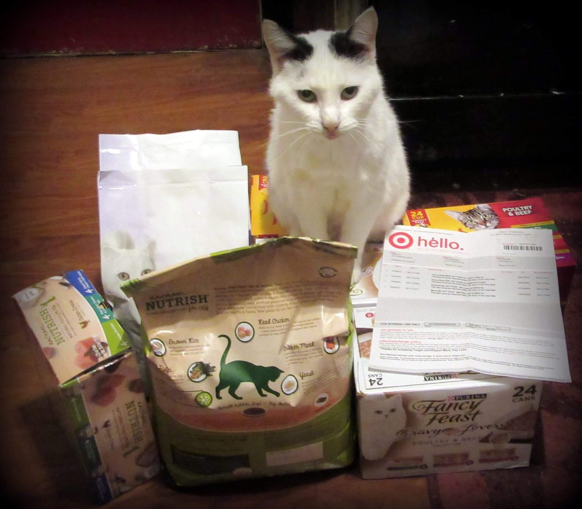 rosebud99w's tweet photo. @Target This is what Eddie (13 yrs) did when we unpacked her gifts from #Target #CyberMonday .Any other cats trying to get close got a swat! https://t.co/USwzx0SG9q