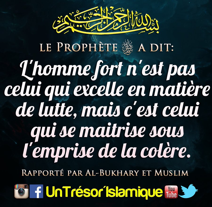 96 Citation  Sur La Colere Islam 