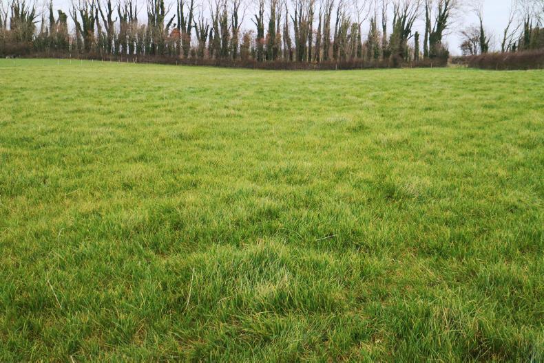 farmersjournal's tweet photo. #Grass2016: May explosion and bumper backend https://t.co/Ly0TnHuQeL https://t.co/tjCJalBUZC