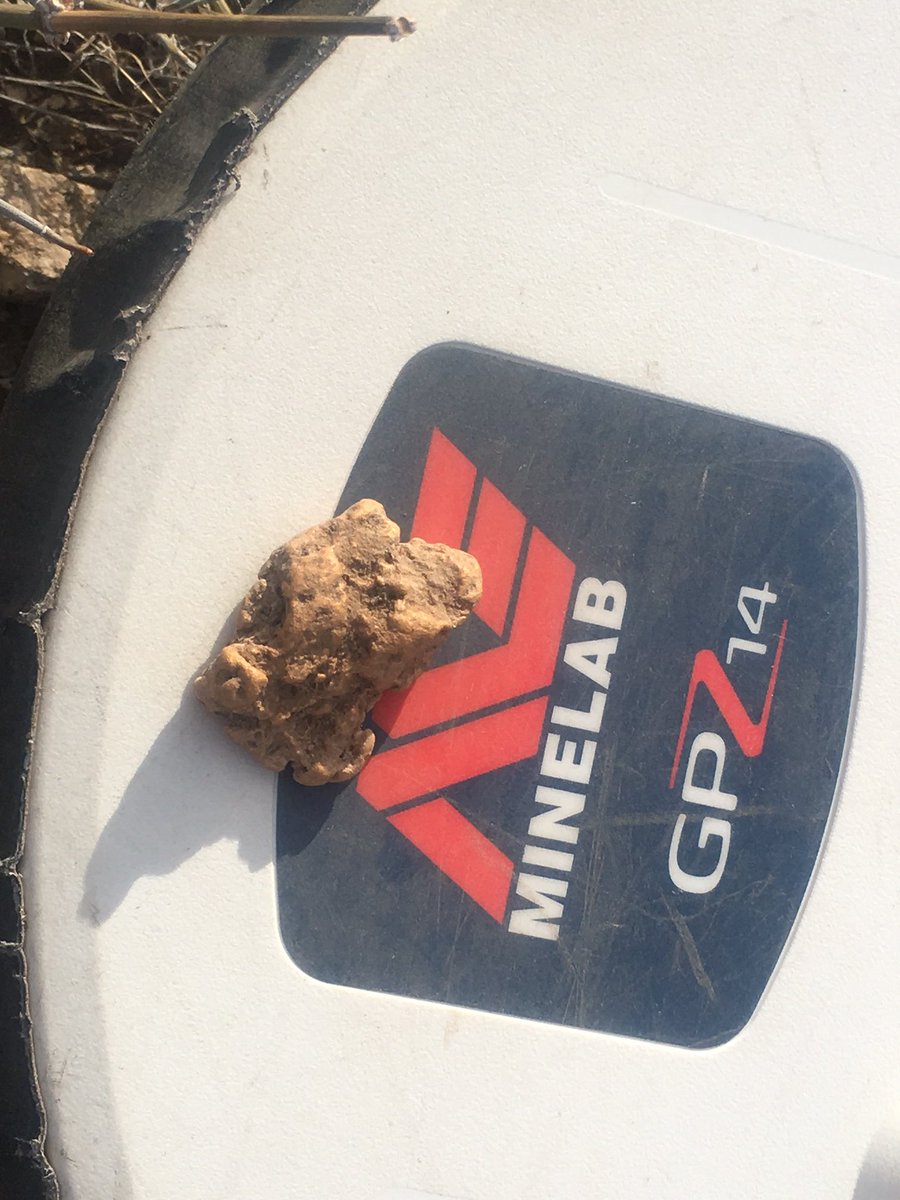 AZOutback's tweet image. Fat nugget Friday! Another gorgeous piece just dug in the Arizona Outback with the Minelab GPZ 7000!