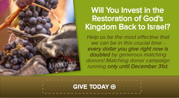 HaYovel's tweet photo. Your Role in the Restoration of Israel's Heartland!

https://t.co/c6M0DmFnVL https://t.co/uJ52aSpN7w