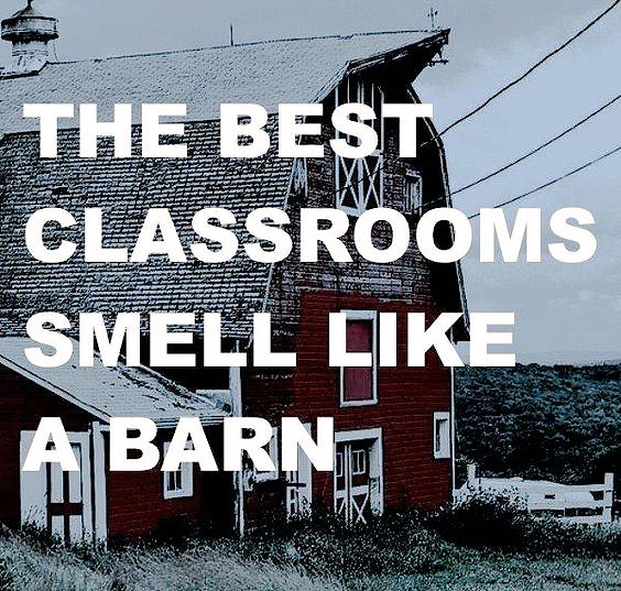proud_to_farm's tweet photo. Proud Aggie 🐷🐮🐥🌽🌾🌱 https://t.co/E10Pfr1RiG