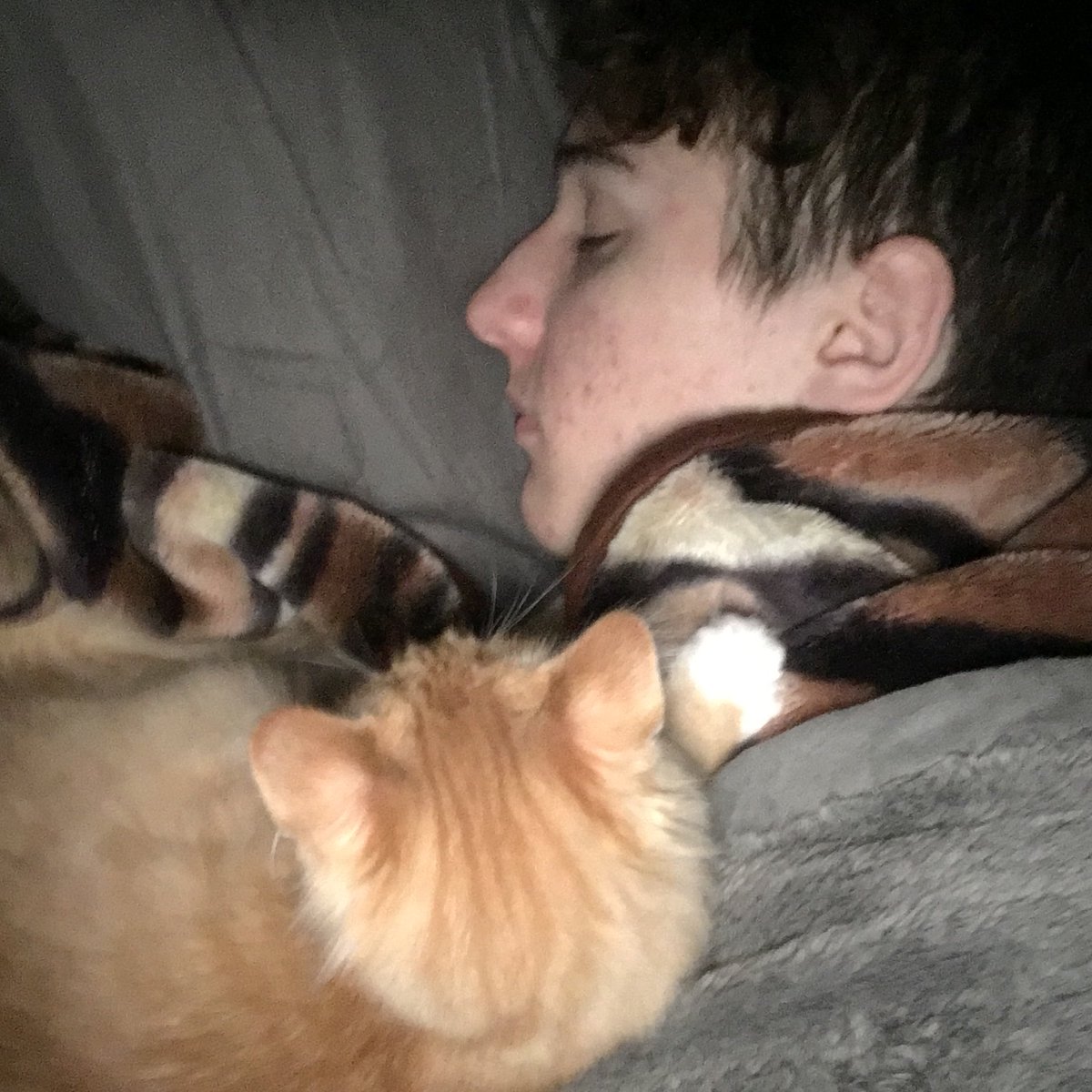 KaitlinRunnels's tweet photo. @BilboBagsOut got a new boyfriend 💘 https://t.co/TOXTuv1Rrb