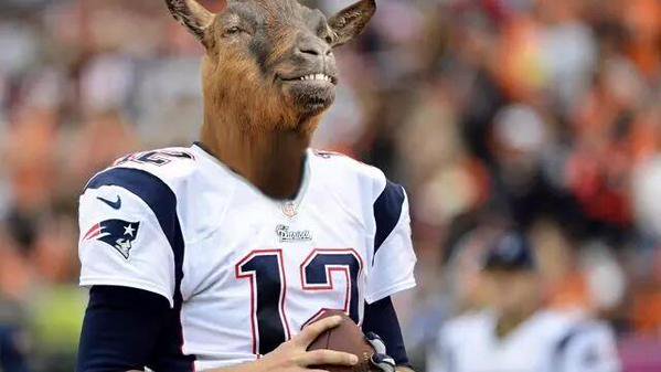 OnlyInBOS's tweet photo. Tom Brady has a 201-63 record. Let that sink in...#LAvsNE https://t.co/1Snlq02svQ