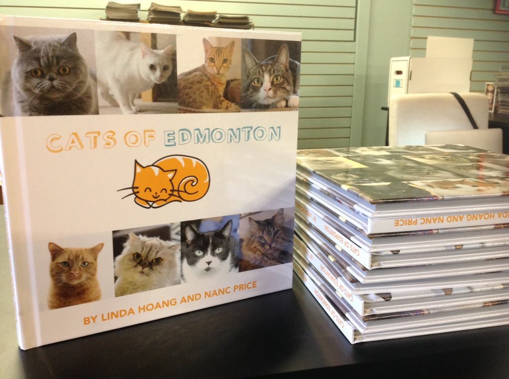 lindork's tweet photo. #CatsofEdmonton hitting local stores just in time for holidays! Perfect gift for cat lovers in your life. These are @VariantEDmonton! π» #yeg https://t.co/TGEkhwktIk