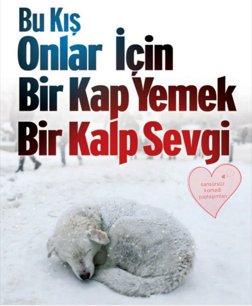 SansursuzK's tweet photo. Ama LÜTFEN https://t.co/sZ2FS8uR5U