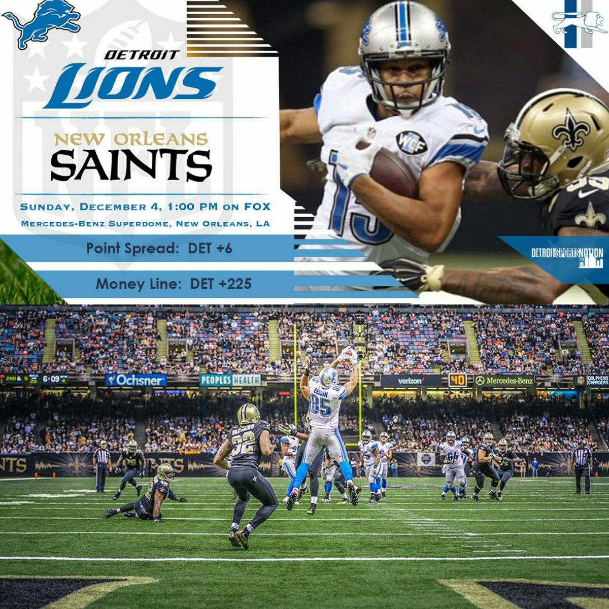 AdinaRainbird's tweet photo. @woahmatey @lions Love how only one person picked the Lions to win! Take that all you pros! :) #notsameoldLions #RealDeal #nofluke https://t.co/GkzHnz78L2