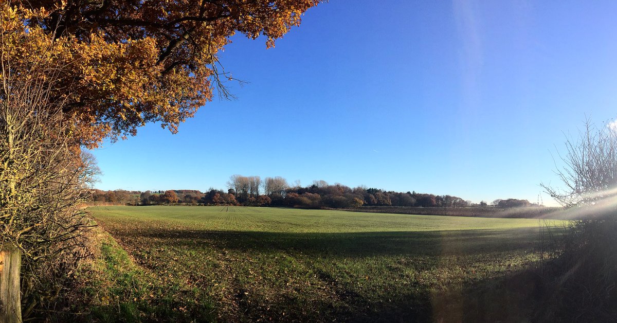 BellefieldsFarm's tweet photo. Beautiful winters day down at our wedding field ☀️ The grass is coming along nicely!🌱 #outdoorwedding https://t.co/8QV414GBcw