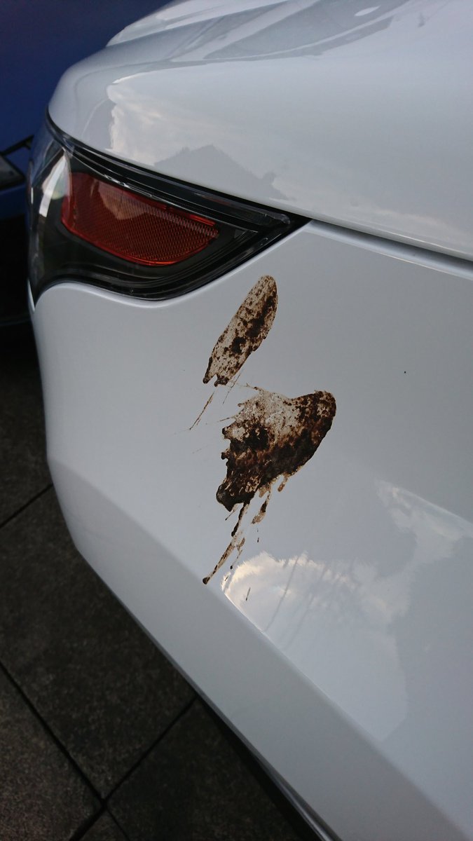 GosforthPhoto's tweet image. Washed for the first time in weeks. Dorty airborne bastards.