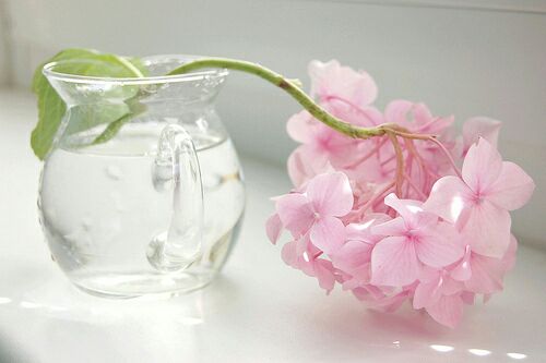 ــ🌸🍃

لا تـيــٲســـوا ... فـ واللــه مــا بـكــت عـــين إلا و فـــوقـهـا رب يـخــبـﻯء لــهـا الأجـمــل ...

🍃🌸