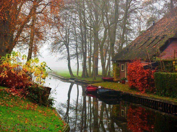 Daniela_8286's tweet photo. #cottage #beautiful #nature https://t.co/Ye3QdbE5xx