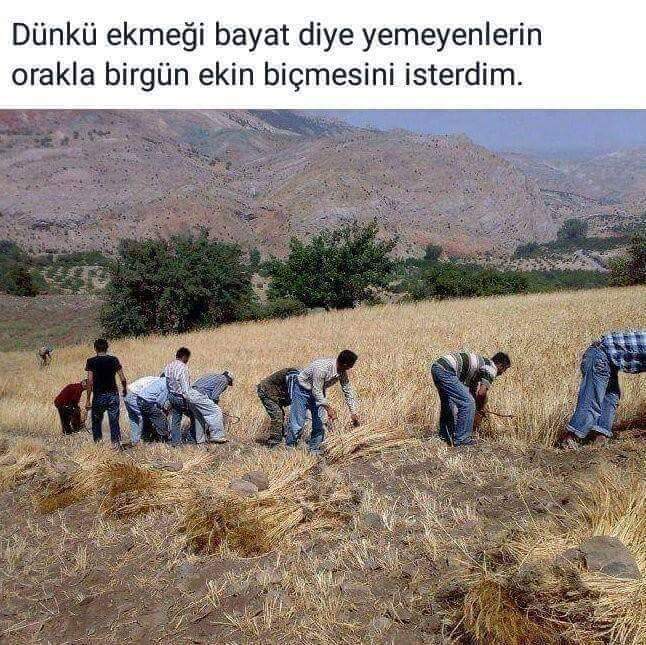 Aydın Binboğa (@aydinbinboga) on Twitter photo 