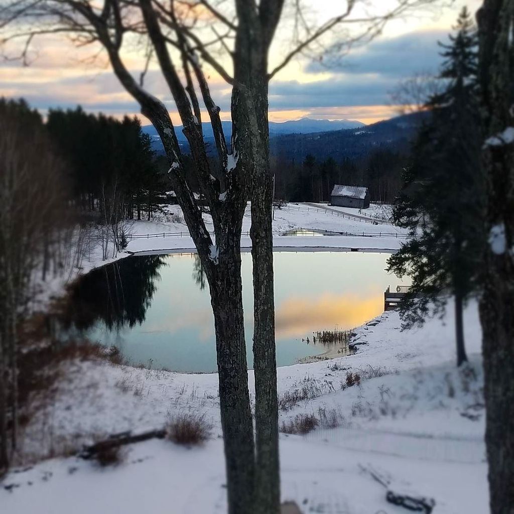We promise, no filter. 
#edsonhill #sunset #moonlightinvermont #travel #vermont #trees #lu… ift.tt/2gRffcm