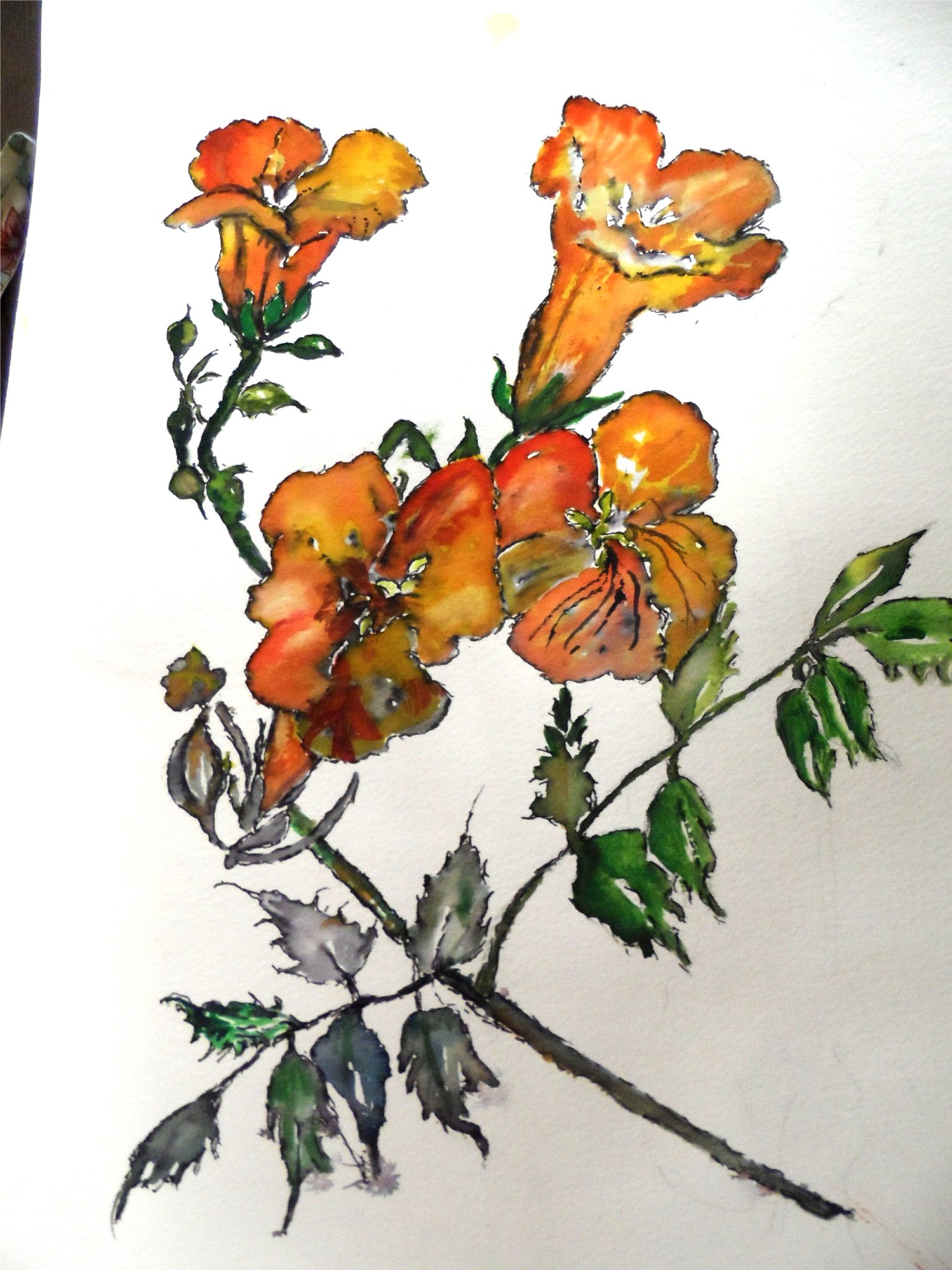 Galleywood Art Club on Twitter "And more art by our members… "