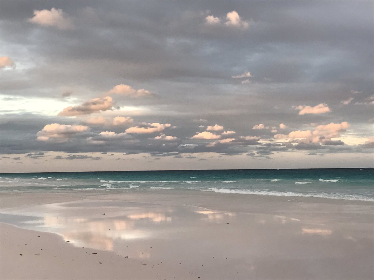 Wilygoose's tweet photo. Stroll along pink sands beach. This is the ONLY way to develop your feature. Thank you @bintlfilmfest for sending me here #Bahamas #BIFF2016 https://t.co/Qiweyau9RG