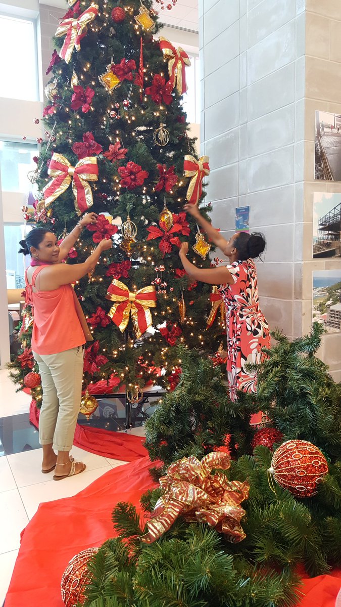 BVI Health Services Authority and Rotary Sunrise decorating Peebles Hospital lobby for the holidays!