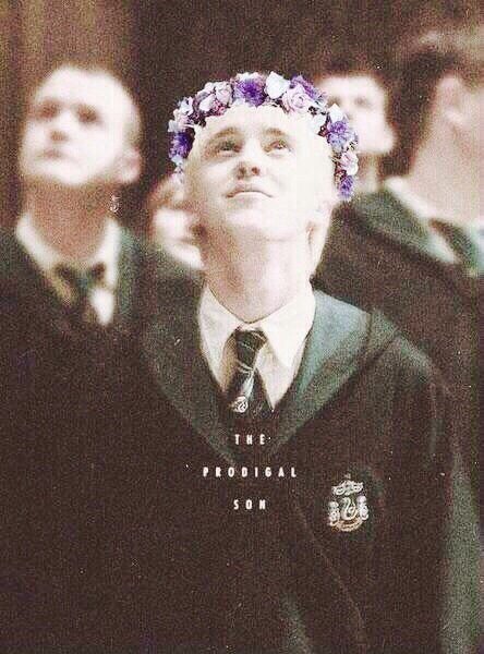 Draco ℳalfoy (@malfcydraco) on Twitter photo 