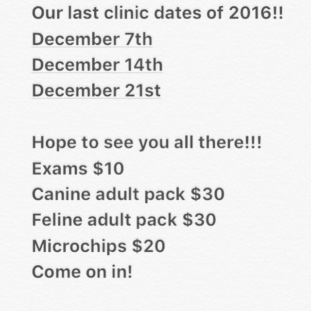 PetsFirstClinic tweet picture