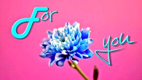 SwissFranc16's tweet photo. Posted by #KGVg. obo Frank:
Thank you all my fine fol'rs and friends for your kind wishes;
really lifts me up in times of despair ๐๐๐@lacsd https://t.co/8IIMlXKtFS