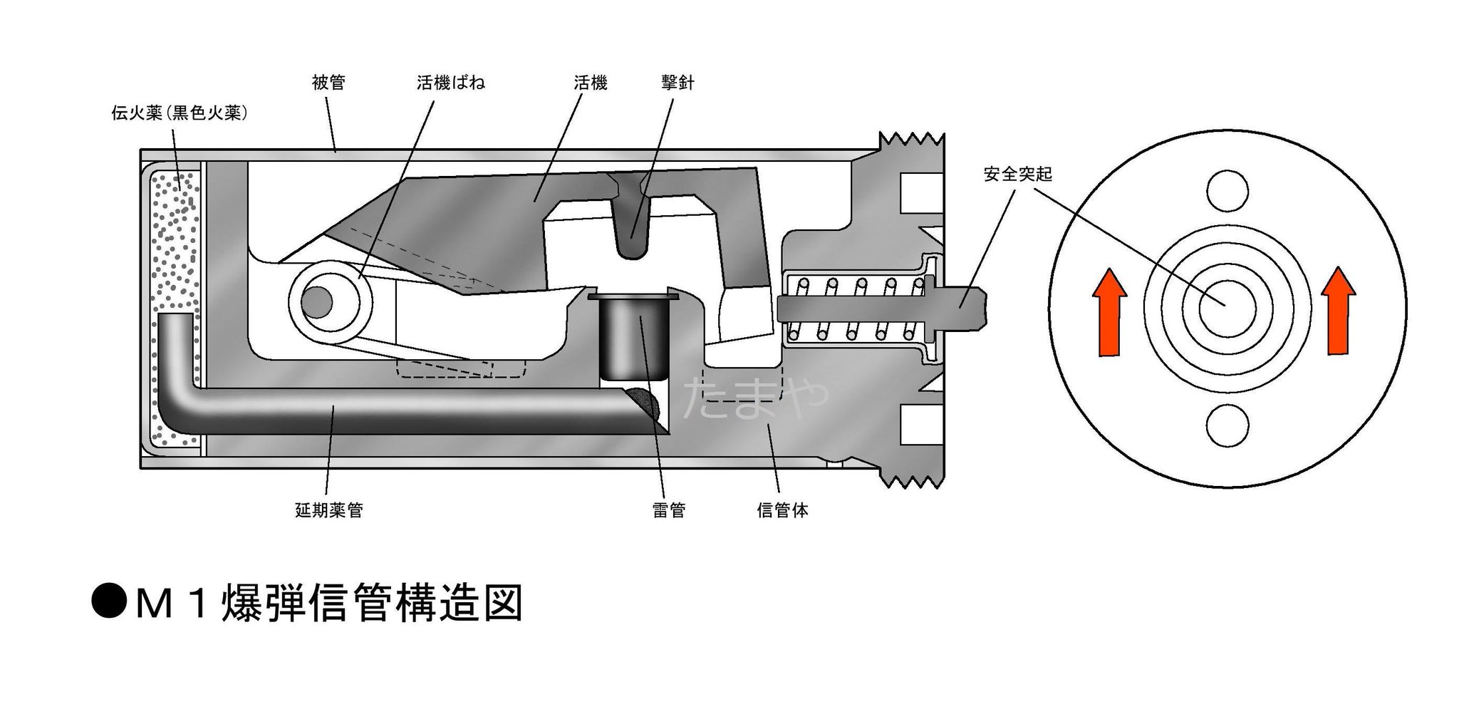 たまや C100 土 東レ42a 信管は 着弾時に慣性で撃針が雷管を叩く着発式信管で 雷管の発火から3 5秒導火線にあたる火薬が燃焼し その後炸薬に点火する火薬が爆発するようになっている このタイムラグが 屋根を破って建物内に停止するまでの時間という たまや C100 土 東レ42a 信管は 着弾時に慣性で撃針が雷管を叩く着発式信管で 雷管の発火から3 5秒導火線にあたる火薬が燃焼し その後炸薬に点火する火薬が爆発するようになっている このタイムラグが 屋根を破って建物内に停止するまでの時間という