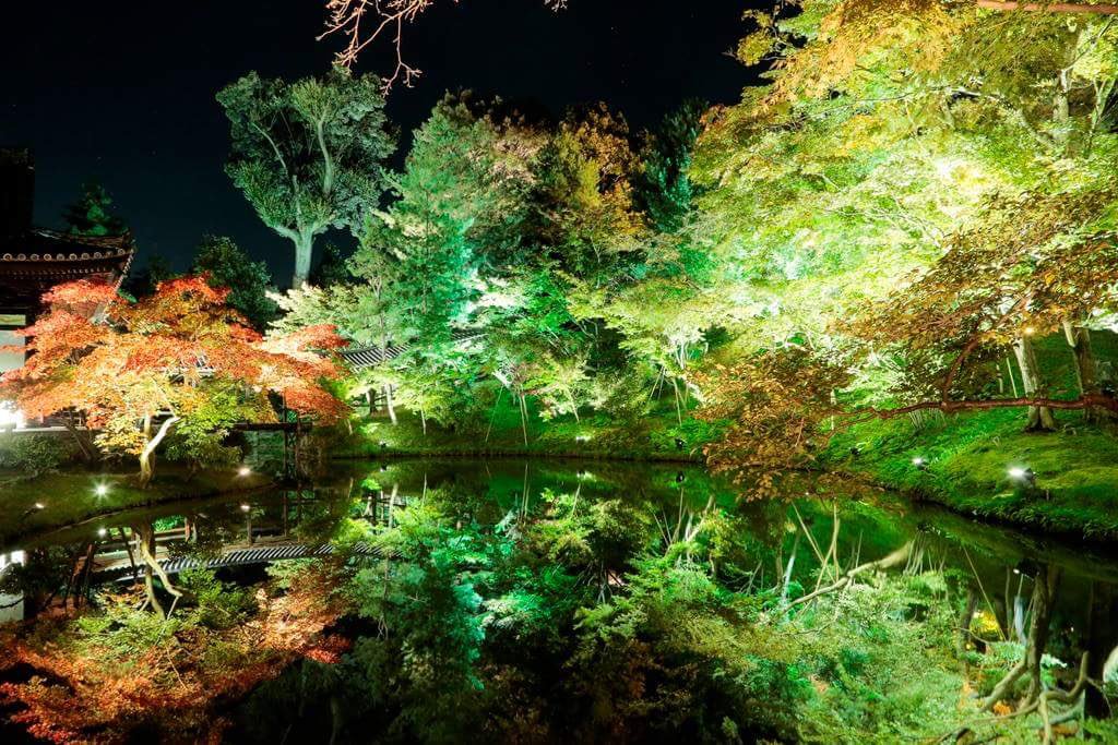 jptrnds's tweet photo. View The Beautiful Autumn Leaves at Kodaiji Temple in #Kyoto #Japan #Travel https://t.co/hXIDB2MhDX