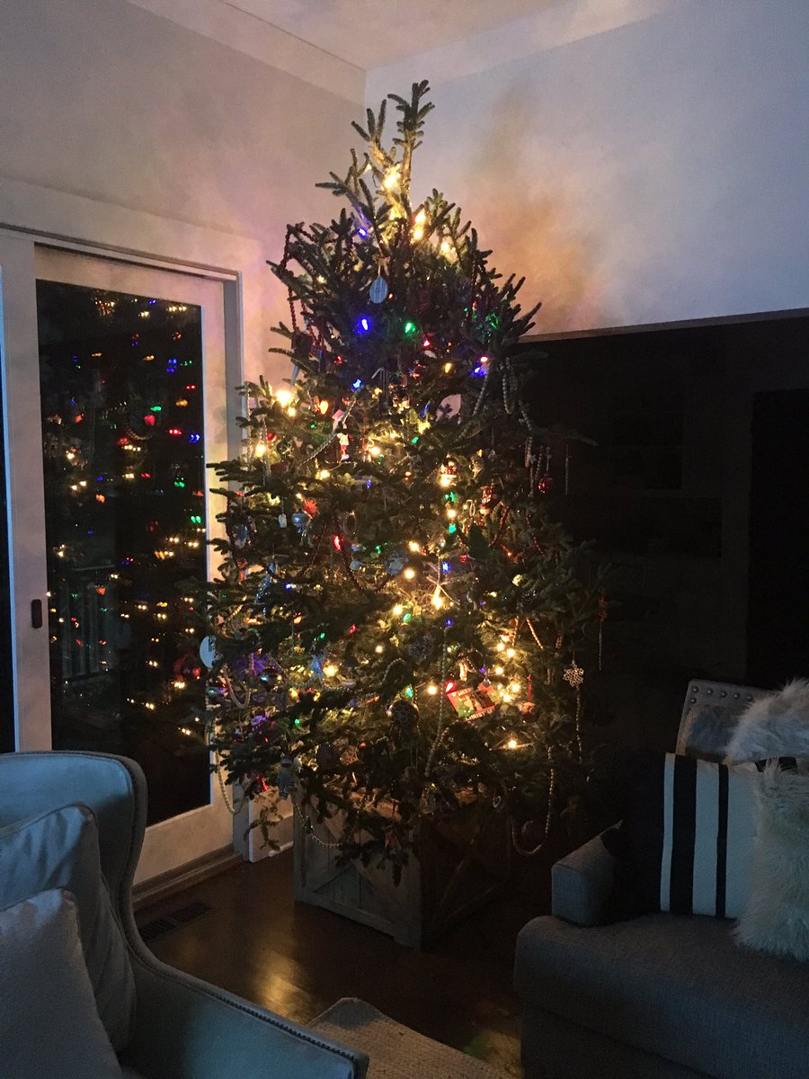 gtowncutter's tweet photo. Minus the topper but had to get a pic before the bulldog gets home tomorrow...might be short-lived #BullyProblems https://t.co/lV7nWSCeZh