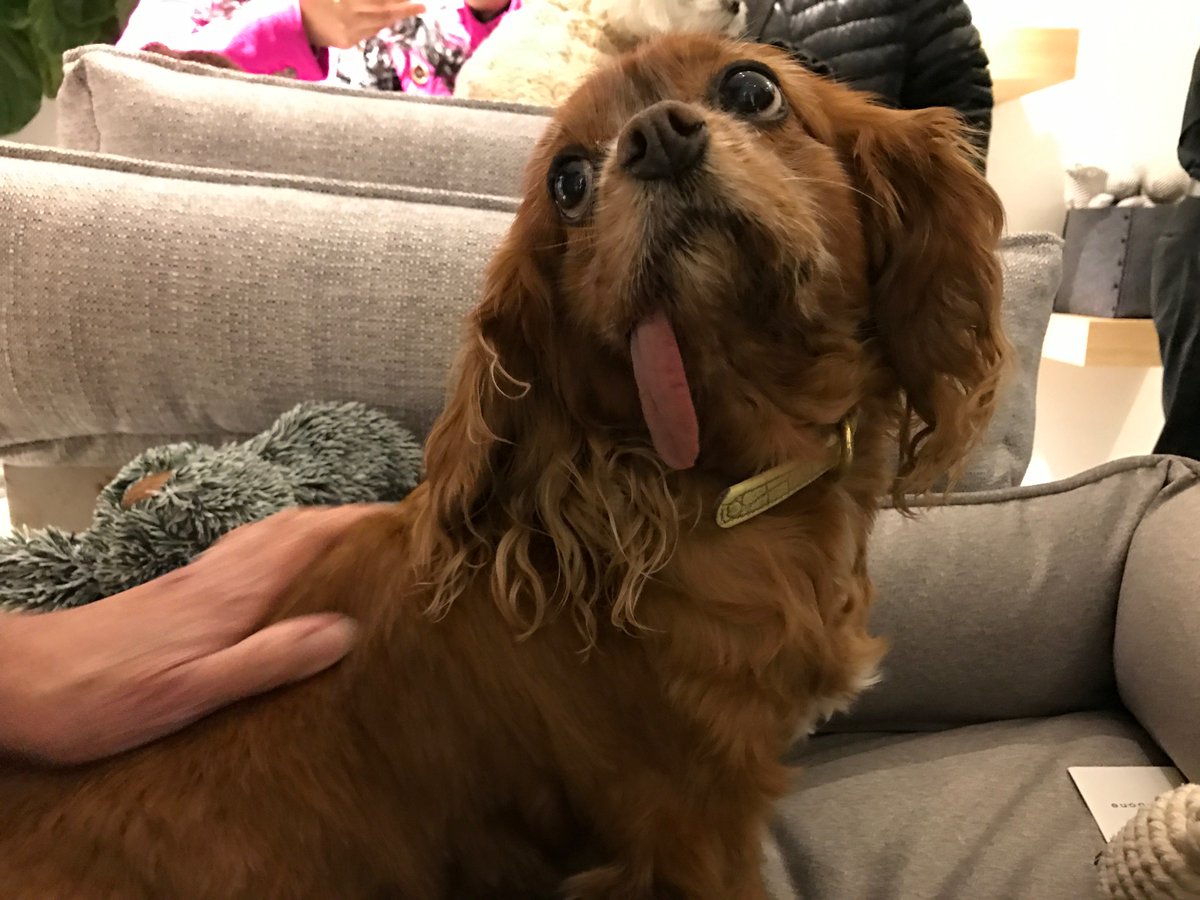 THEMAXBONE's tweet photo. To everyone that came to our NY opening ! #ToastMeetsWorld #lulunasty #muppetsrevenge and many more.. thank you!! we had a great time xoxo https://t.co/NXxQaCrC6x